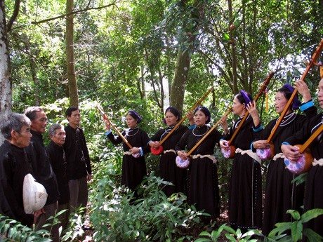 Приветственное диалоговое пение «Тхен» народности Таи в уезде Биньлиеу провинции Куангнинь - ảnh 1